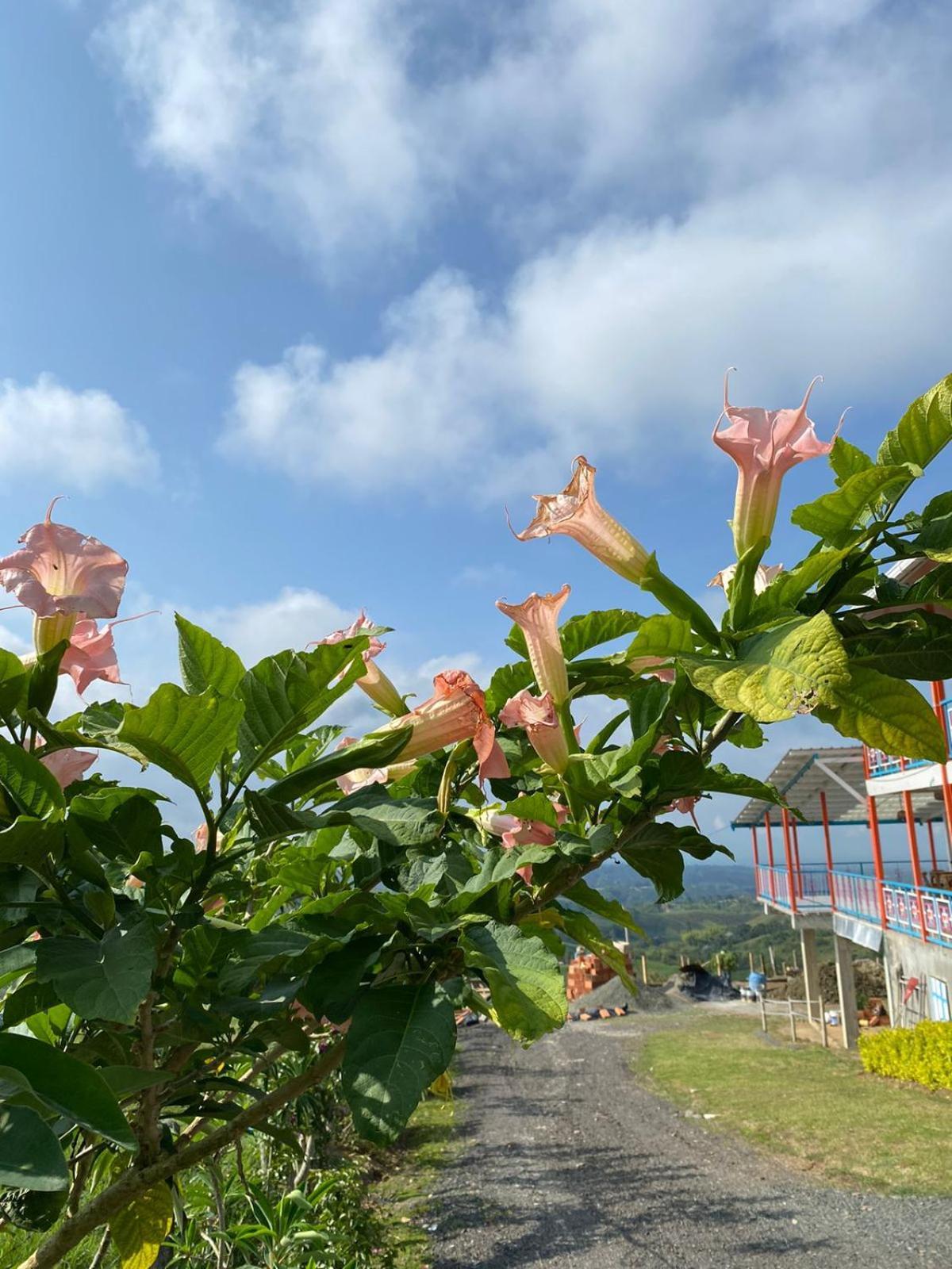 Villa Jair Hotel 菲兰迪亚 外观 照片